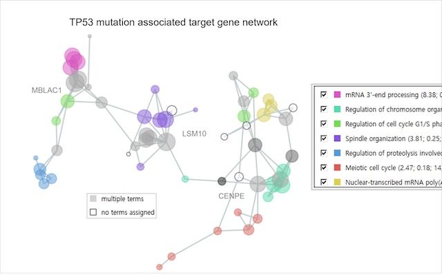 [서울=뉴시스] 넷크래프터(NetCrafter)를 이용한 유전자 데이터 간 관계 해석 예시. (사진=숙명여대 제공) 2026.04.27. photo@newsis.com *재판매 및 DB 금지