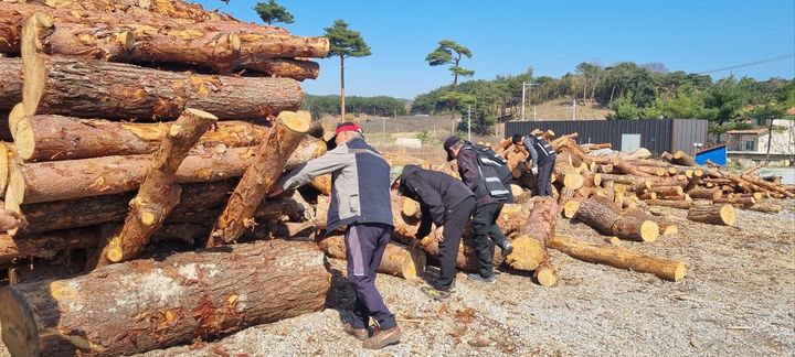 [양양=뉴시스] 양양구유림관리소가 선충병 확산 원천 차단을 위해 소나무류 취급업체를 방문해 점검하고 있는 모습.(사진=양양국유림관리소 제공)photo@newsis.com *재판매 및 DB 금지