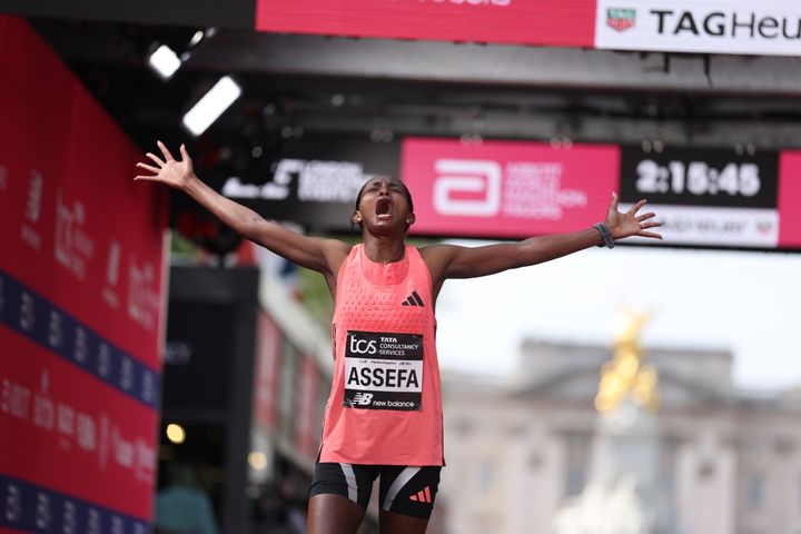 [서울=뉴시스] 티그스트 아세파. (사진=아디다스) *재판매 및 DB 금지