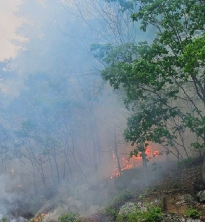화천·인제에서 '산불'…헬기·장비·인력 투입해 진화완료