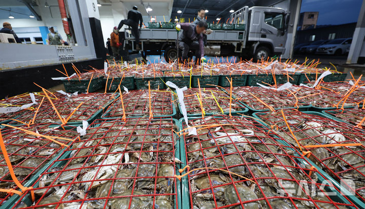 [인천=뉴시스] 전진환 기자 = 금어기 해제로 봄 꽃게가 본격 출하되는 가운데 27일 오전 인천 중구 경인서부수협위판장에서 수협 관계자들이 꽃게를 하역하고 있다.&nbsp; 2026.04.27. amin2@newsis.com