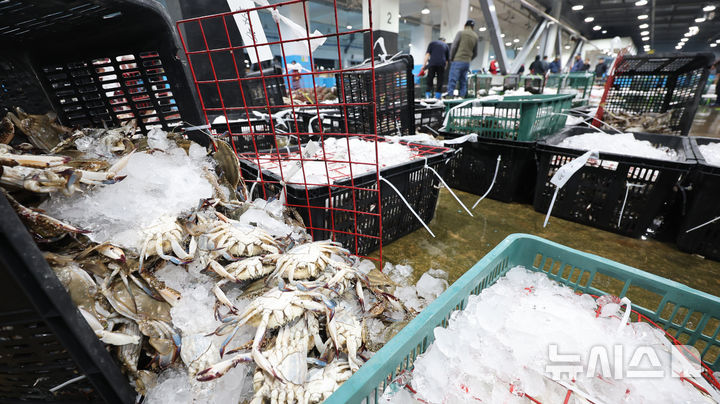 [인천=뉴시스] 전진환 기자 = 금어기 해제로 봄 꽃게가 본격 출하되는 가운데 27일 오전 인천 중구 경인서부수협위판장에서 상인들이 경매에 앞서 꽃게를 살펴보고 있다.&nbsp; 2026.04.27. amin2@newsis.com
