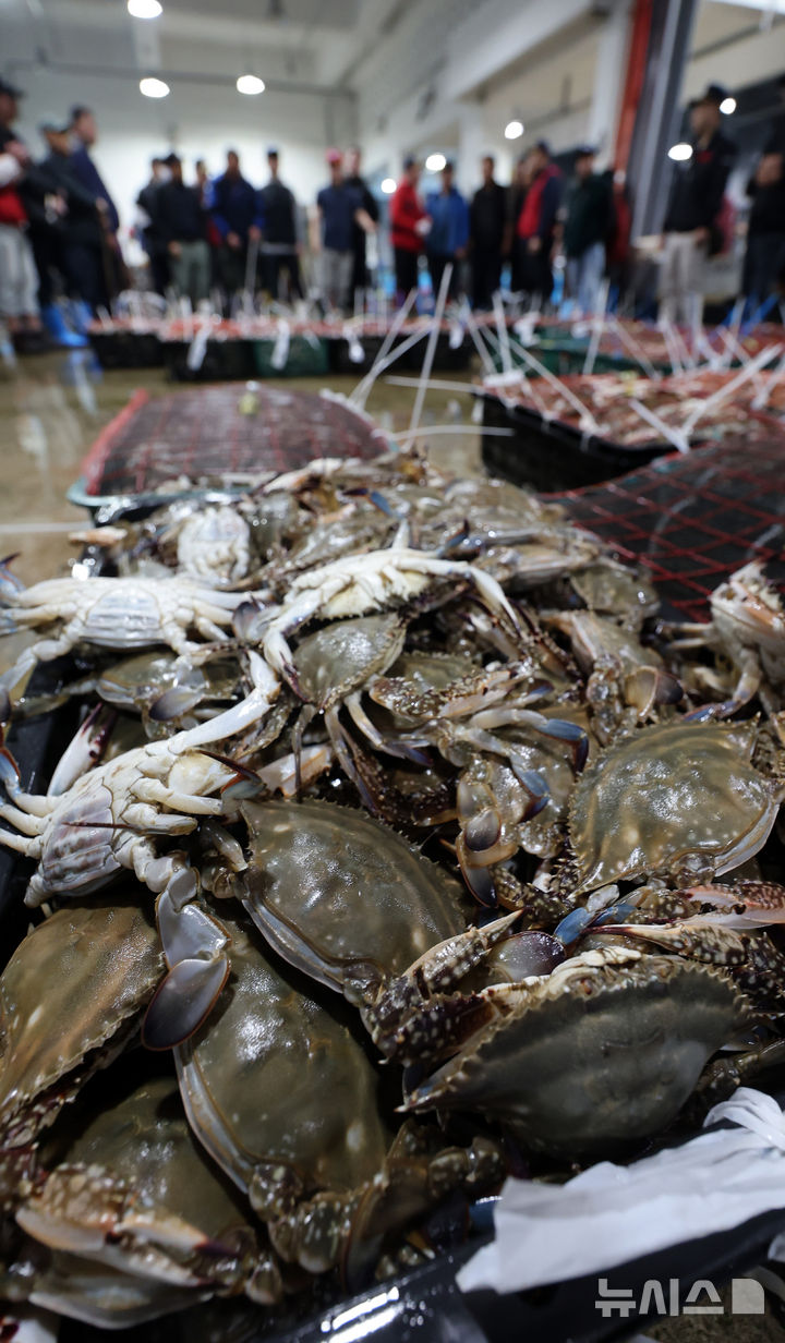 [인천=뉴시스] 전진환 기자 = 금어기 해제로 봄 꽃게가 본격 출하되는 가운데 27일 오전 인천 중구 경인서부수협위판장에서 경매사와 중매인들이 꽃게를 거래하고 있다.&nbsp; 2026.04.27. amin2@newsis.com