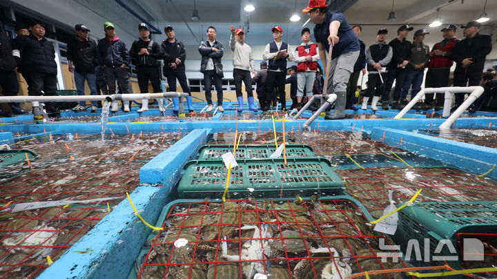 [인천=뉴시스] 전진환 기자 = 금어기 해제로 봄 꽃게가 본격 출하되는 가운데 27일 오전 인천 중구 경인서부수협위판장에서 경매사와 중매인들이 꽃게를 거래하고 있다.&nbsp; 2026.04.27. amin2@newsis.com