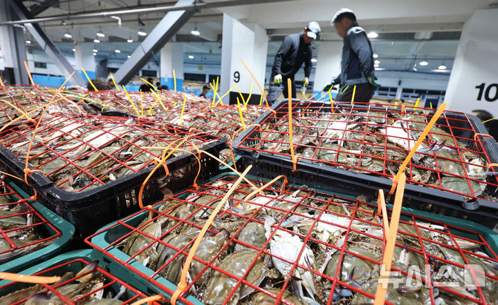 [인천=뉴시스] 전진환 기자 = 금어기 해제로 봄 꽃게가 본격 출하되는 가운데 27일 오전 인천 중구 경인서부수협위판장에서 수협 관계자들이 꽃게를 하역하고 있다.&nbsp; 2026.04.27. amin2@newsis.com