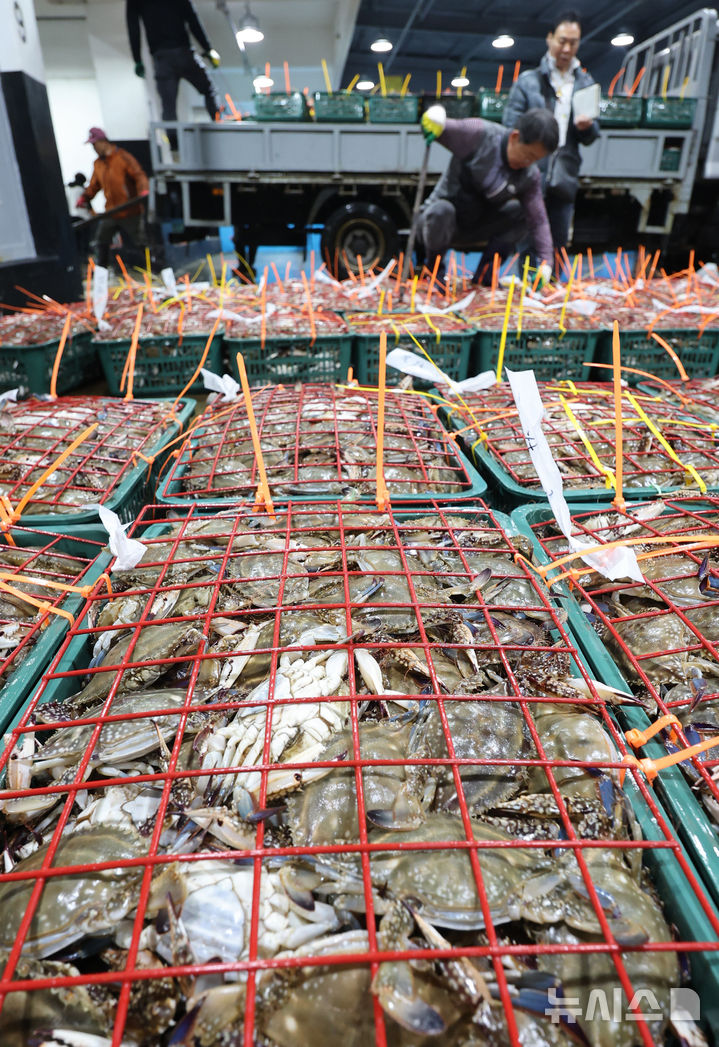 [인천=뉴시스] 전진환 기자 = 금어기 해제로 봄 꽃게가 본격 출하되는 가운데 27일 오전 인천 중구 경인서부수협위판장에서 수협 관계자들이 꽃게를 하역하고 있다.&nbsp; 2026.04.27. amin2@newsis.com