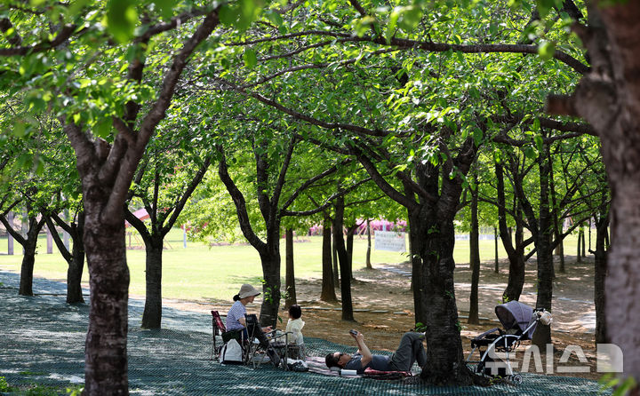 더위 피해 그늘로(사진=뉴시스 DB)