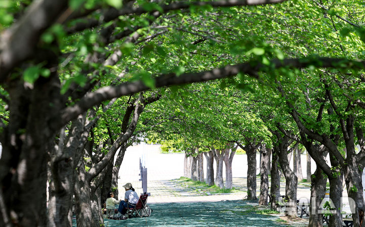 충남권, 대기 건조한데 약간 '강한 바람'…"소각 주의"