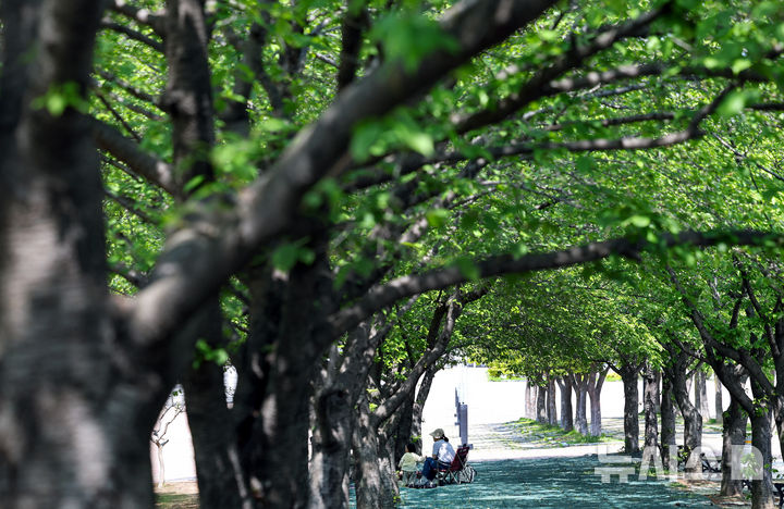 [대구=뉴시스] 이무열 기자 = 대구 낮 최고기온이 26도까지 오르며 초여름 날씨를 보인 27일 대구 수성구 대구스타디움 광장 나무 그늘에서 엄마와 딸이 휴식을 취하고 있다. 2026.04.27. lmy@newsis.com