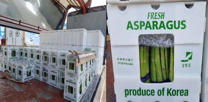 [양구=뉴시스] 28일 양구군은 청정 자연에서 재배된 양구 아스파라거스가 이달 초부터 출하를 시작해 현재 본격적인 수확·출하가 이어지고 있다고 밝혔다. 양구군 제공. *재판매 및 DB 금지