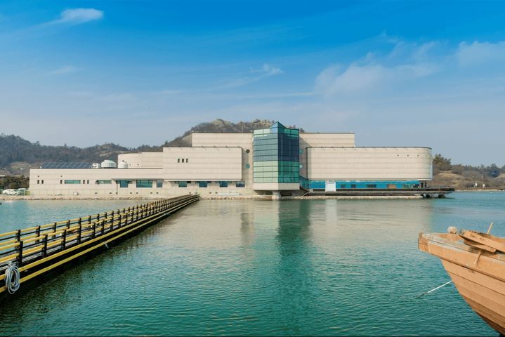 [서울=뉴시스] 목포해양유물전시관 전경 (사진=국립해양유산연구소 누리집 갈무리) 2026.04.28. photo@newsis.com *재판매 및 DB 금지