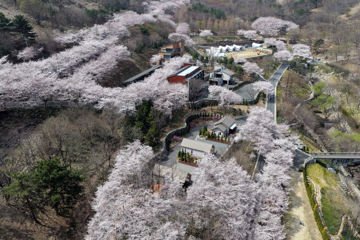 [진주=뉴시스]진주시, '월아산 숲속의 진주' 전경.(사진=뉴시스 DB).photo@newsis.com *재판매 및 DB 금지