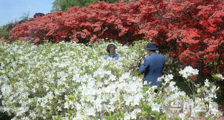 [전주=뉴시스] 김얼 기자 = 28일 전북 전주시 완산꽃동산을 찾은 시민들이 꽃을 배경으로 사진을 찍고 있다. 2026.04.28. pmkeul@newsis.com