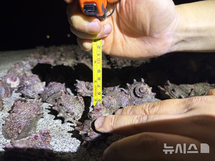 [제주=뉴시스] 제주해양경찰서가 28일 오전 제주시 삼양동 한 갯바위에서 불법 소라 채취객을 적발해 조사하고 있다. (사진=제주해양경찰서 제공) 2026.04.28. photo@newsis.com