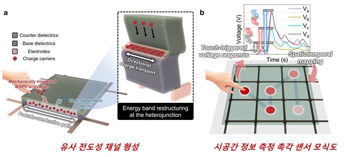 [서울=뉴시스] 전도성 물질 없이 전기적 신호를 전송할 수 있는 기계적 자극을 통한 유사 전도성 채널 및 시공간 촉각 센서 활용 모식도. (사진=고려대 제공) 2026.04.28. photo@newsis.com *재판매 및 DB 금지
