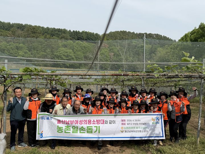 [울산=뉴시스] 농협중앙회 울주군지부(지부장 이명주)는 28일 본격적인 울산 울주군 온양읍에 위치한 키위 재배 농가를 찾아 농촌 일손돕기 봉사 활동을 했다고 밝혔다. (사진= 농협중앙회 울주지부 제공) 2026.04.28.photo@newsis.com *재판매 및 DB 금지