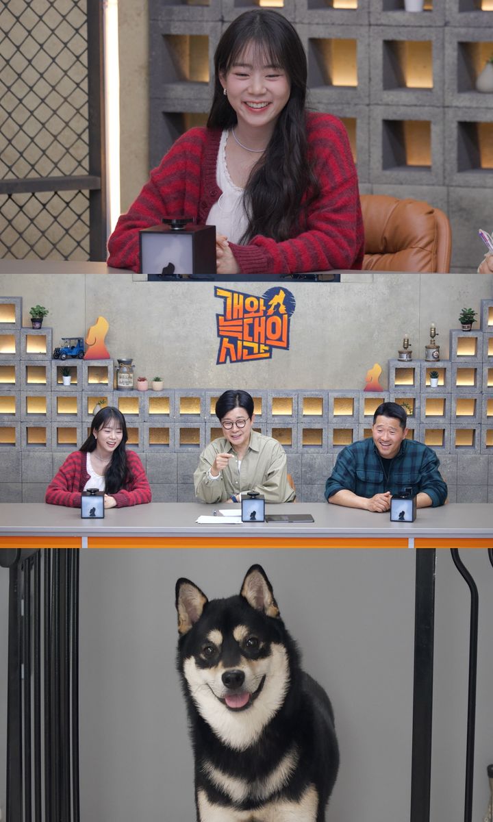 [서울=뉴시스] 그룹 카라 출신 배우 한승연이 강형욱 훈련사에게 도전장을 내민다. (사진=채널A) 2026.04.28. photo@newsis.com *재판매 및 DB 금지