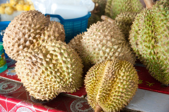 [서울=뉴시스] 태국 정부가 틱톡과 협업해 두리안을 비롯한 농산물 판매 확대에 나선다. (사진=유토이미지) *재판매 및 DB 금지