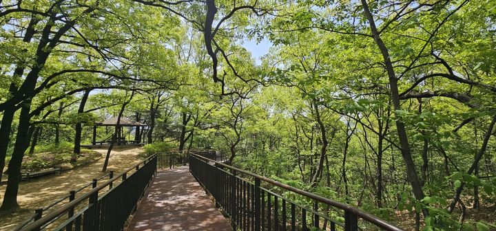 [서울=뉴시스] 둘리(쌍문) 공원 꽃동네 어린이놀이터~서울형 키즈카페 구간 개통 후 모습. (사진=도봉구 제공) 2026.04.28. *재판매 및 DB 금지