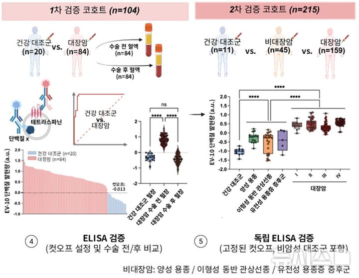 [서울=뉴시스] 추가 환자 코호트 총 319명을 대상으로 검증한 결과 104명을 대상으로 한 1차 검증에서 10개 단백질 패널이 90% 이상의 민감도로 대장암을 구별했으며, 215명을 대상으로 한 2차 검증에서는 해당 단백질들이 수술 후 6주 후 70%이상 환자에서 감소하는 양상을 보였다. (사진= 세브란스병원 제공)