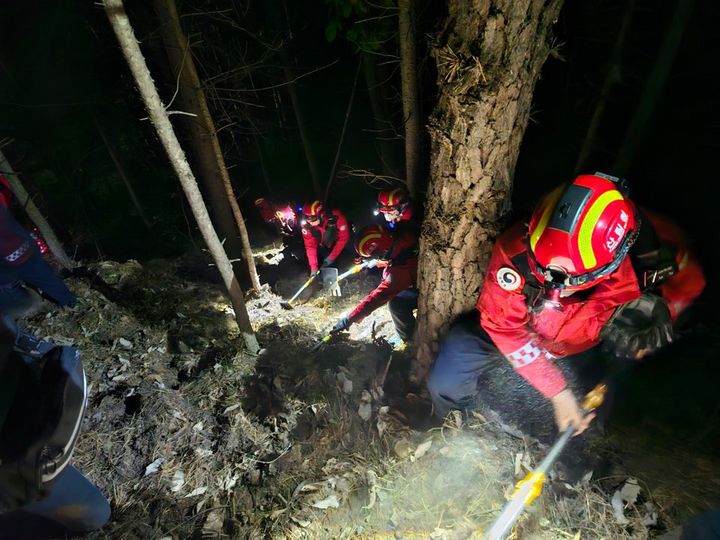 가평읍 마장리 산불 현장. (사진=산림청 제공) photo@newsis.com *재판매 및 DB 금지