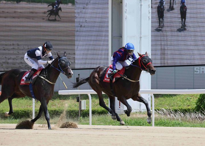 [부산=뉴시스] 2025년 부산광역시장배 우승마 5번 '글로벌히트'와 '김혜선' 기수의 결승선 통과 장면. (사진=한국마사회 렛츠런파크 부산경남 제공) 2026.04.29. photo@newsis.com *재판매 및 DB 금지