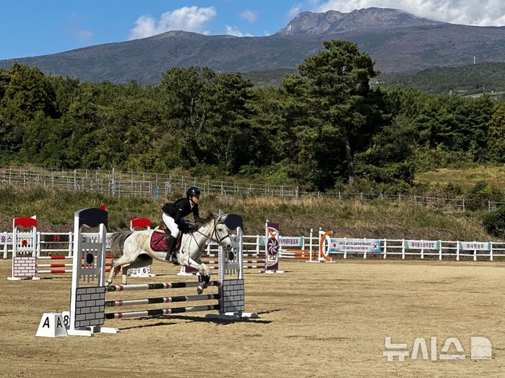 [제주=뉴시스] 제주지역에서 열린 승마대회 모습. (사진=제주도 제공) photo@newsis.com