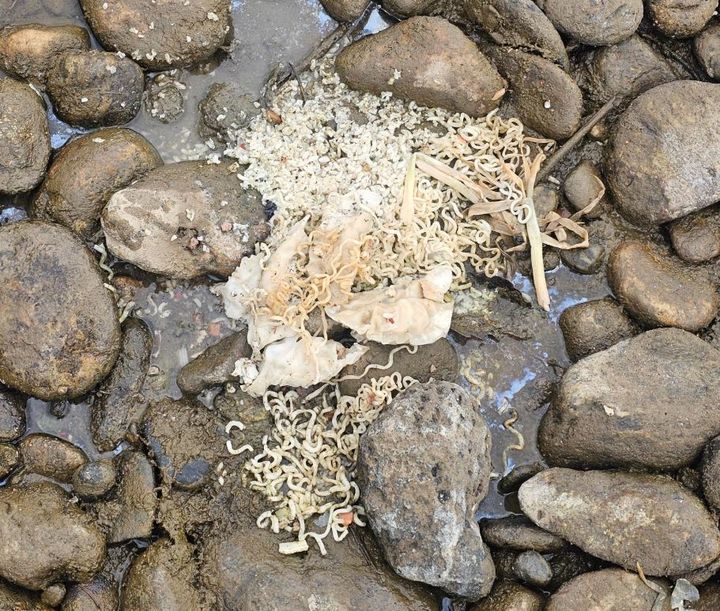 [서울=뉴시스] 강원도 밤벌유원지 강가 일대에 음식물 쓰레기와 일반 쓰레기가 그대로 방치되어 있는 모습이 온라인 커뮤니티를 통해 전해졌다. (사진=보배드림) *재판매 및 DB 금지