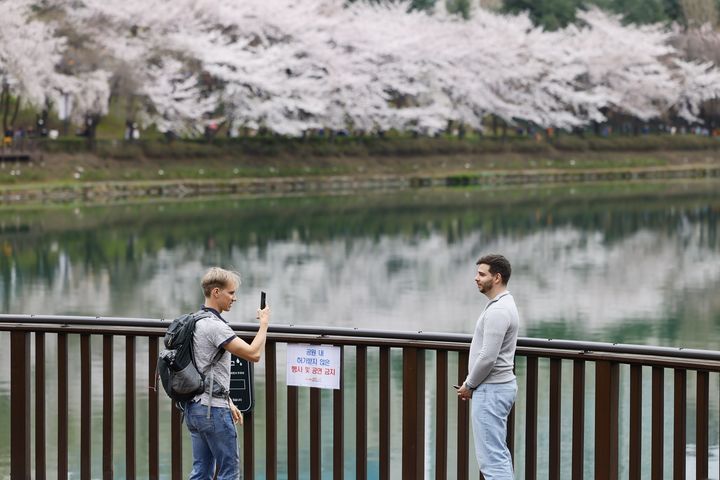 [서울=뉴시스] 호수벚꽃축제_외국인. (사진=송파구 제공) 2026.04.29. *재판매 및 DB 금지