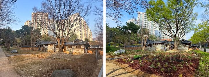 [서울=뉴시스]진관동 금성당 입구 조성 전(왼쪽)과 후(오른쪽) 모습. (사진=은평구 제공) 2026.04.29. photo@newsis.com *재판매 및 DB 금지