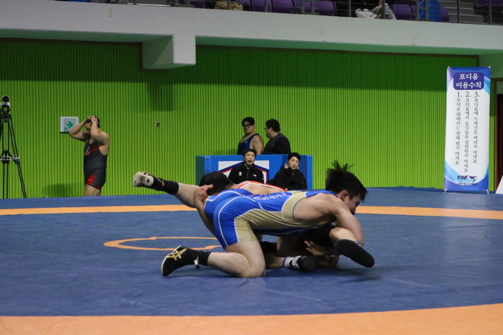 괴산군, 레슬링 국가대표팀 전지훈련 유치…250여명 참여