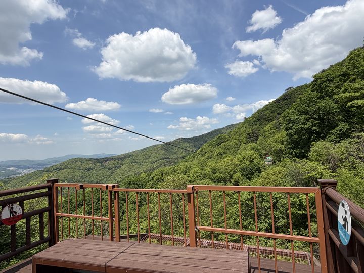 [용인=뉴시스] 29일부터 운영을 시작한 용인자연휴양림 짚라인. (사진=용인시 제공) 2026.04.29. photo@newsis.com *재판매 및 DB 금지