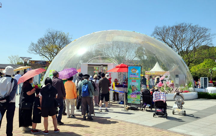 [함평=뉴시스] 전남 함평나비대축제 행사장에서 살아있는 나비를 관찰할 수 있는 나비 먹이주기 체험 프로그램이 열리고 있어 인기를 끌고 있다. 2026.04.29. (사진=함평군 제공) photo@newsis.com *재판매 및 DB 금지