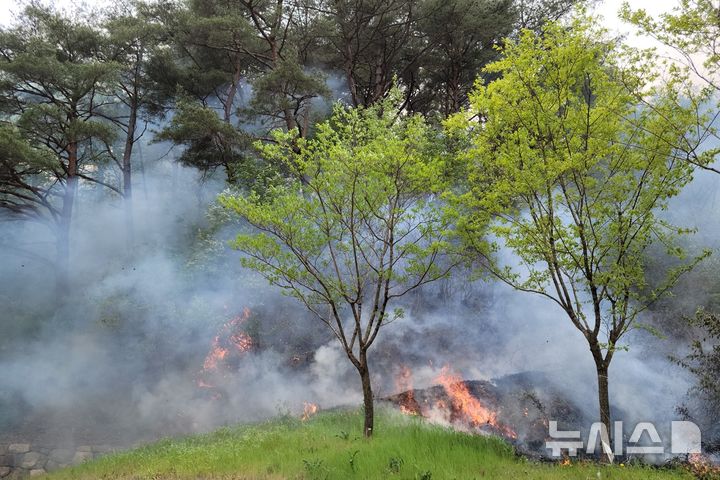 [영덕=뉴시스] 29일 오후 1시9분께 경북 영덕군 창수면 갈천리 장육사 인근 야산에서 화재가 발생했다. (사진=경북소방본부 제공) 2026.04.29. photo@newsis.com