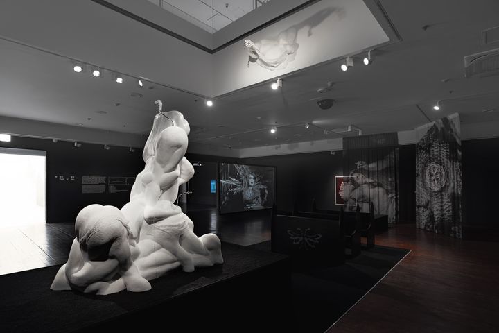 사랑의 기원_섹션1_훔친 불꽃_전경1_사진제공_서울시립미술관_촬영_심규호 *재판매 및 DB 금지