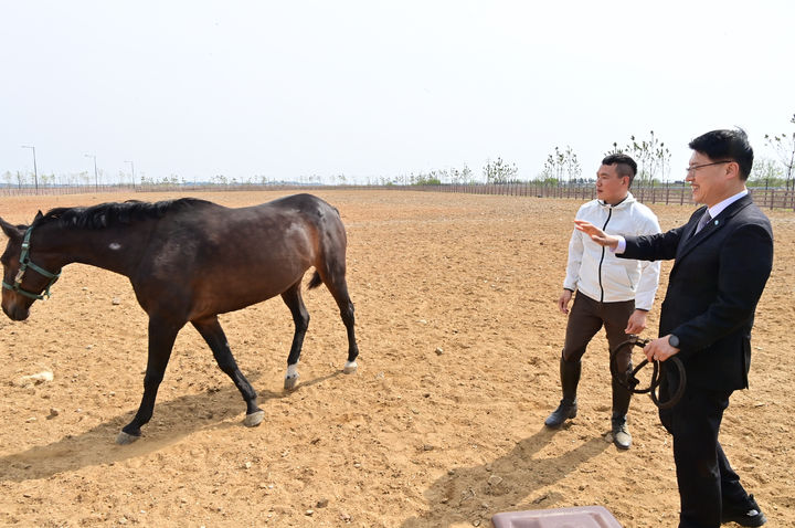 [수원=뉴시스] 화성시 마도면에 있는 축산진흥센터 내 '말 복지 휴양목장'. (사진=경기도 제공) 2026.04.29. photo@newsis.com *재판매 및 DB 금지