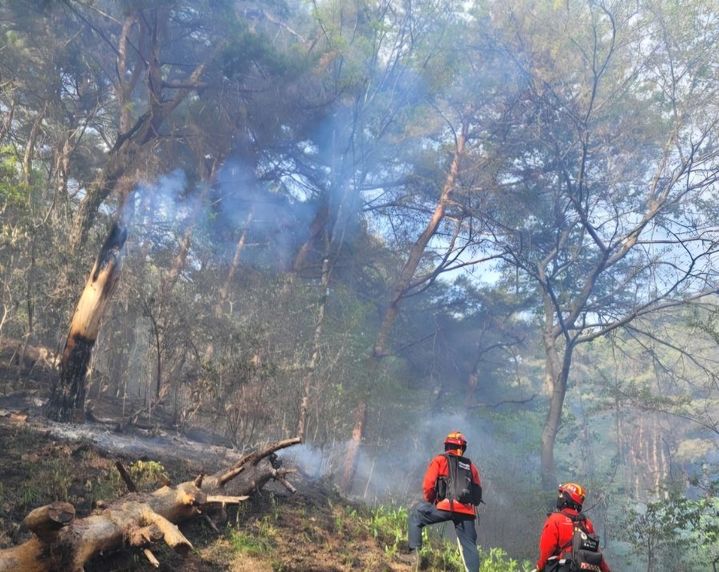 [홍천=뉴시스] 29일 산림당국은 이날 오후 2시 45분께 강원 홍천군 내촌면 도관리에서 산불이 나 2시간 5분 만인 오후 4시50분에 진화 됐다고 밝혔다. 강원특별자치도 산불방지센터 제공. *재판매 및 DB 금지