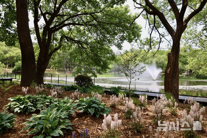 [서울=뉴시스] 삼표그룹이 '2026 서울국제정원박람회'가 열리는 서울숲 일대에 조성한 삼표 정원 '숲으로 가는 길'의 전경. (사진=우승민 사진작가·삼표그룹 제공)