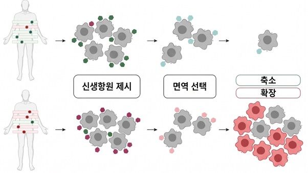 (사진=SCL사이언스) *재판매 및 DB 금지