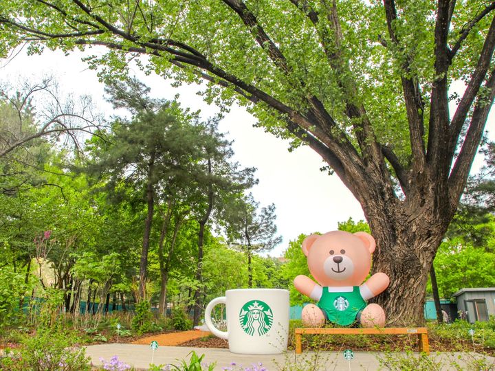 스타벅스 정원 '쉬었다가길' 내 이태리포플러 나무 포토존과 커피박 업사이클링 벤치. (사진=스타벅스 코리아 제공) *재판매 및 DB 금지