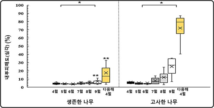 [대전=뉴시스] 국립산림과학원이 산불 피해목에 대한 연구를 통해 산불 초기보다 수개월이 흐른 뒤 피해정도가 가파르게 상승하는 것을 확인했다. 내부 피해도 월별 변화 추이.(사진=국립산림과학원 제공) *재판매 및 DB 금지