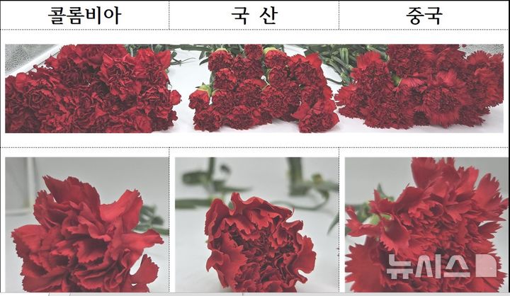 [안양=뉴시스] 카네이션 원산지 식별 사진. (사진=국립농산물품질관리원 경기지원 제공) 2026.04.30. photo@newsis.com