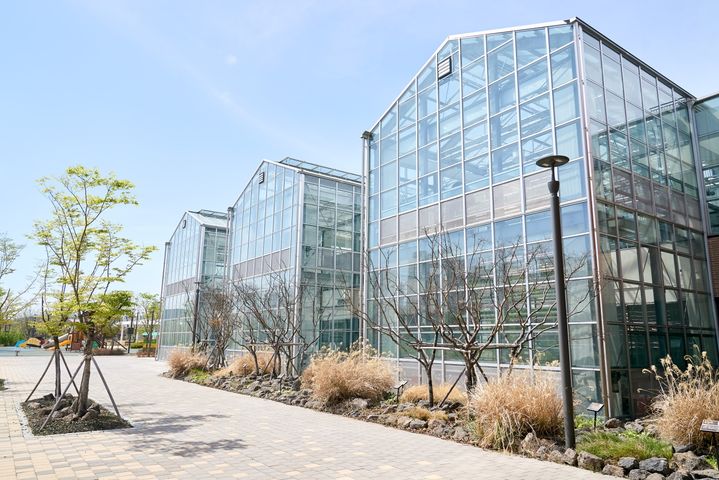 [서울=뉴시스] 강빛숲공원 스마트팜. (사진=강동구 제공) 2026.04.30. *재판매 및 DB 금지