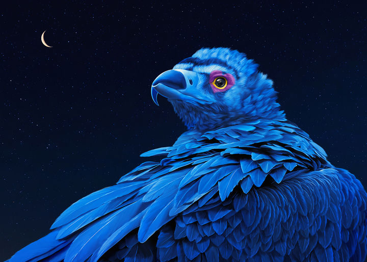 Hana하나, 150x200cm, 울트라크롬HDR프린트, 2026 *재판매 및 DB 금지