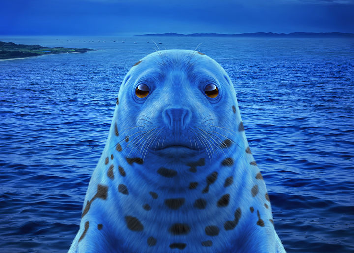 Borderline경계선, 150x200cm, 울트라크롬HDR프린트, 2026 *재판매 및 DB 금지