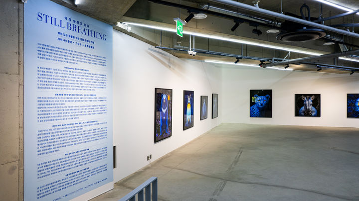 사비나미술관 고상우 개인전 전경 *재판매 및 DB 금지