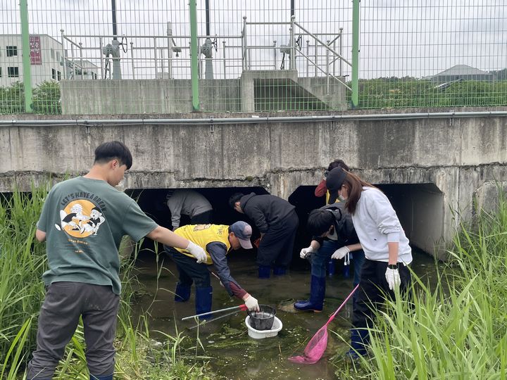 [울산=뉴시스] 울산 중구는 지난 29일 장현저류지 일대에서 '황방산 올챙이 구조 및 생태 참여 활동'을 실시했다. (사진=울산 중구 제공) 2026.04.30. photo@newsis.com&nbsp; *재판매 및 DB 금지