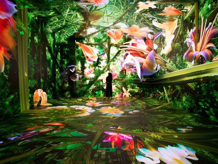 anadol-machine-dreams-rainforest-large-1024x768 *재판매 및 DB 금지