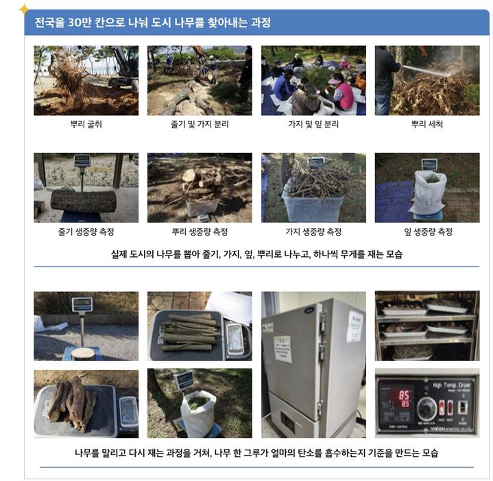 [서울=뉴시스]전국을 30만 칸으로 나눠 도시 나무를 찾아내는 과정 (자료=토지주택연구원 보고서) 2026. 5. 1. *재판매 및 DB 금지