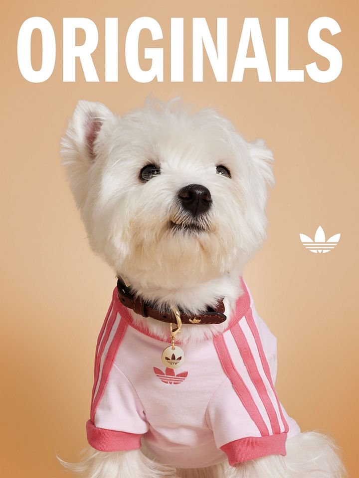 아디다스 오리지널스(adidas Originals)가 브랜드 아이덴티티를 반려동물 라이프스타일로 확장한 첫 '펫 컬렉션'을 출시했다. *재판매 및 DB 금지